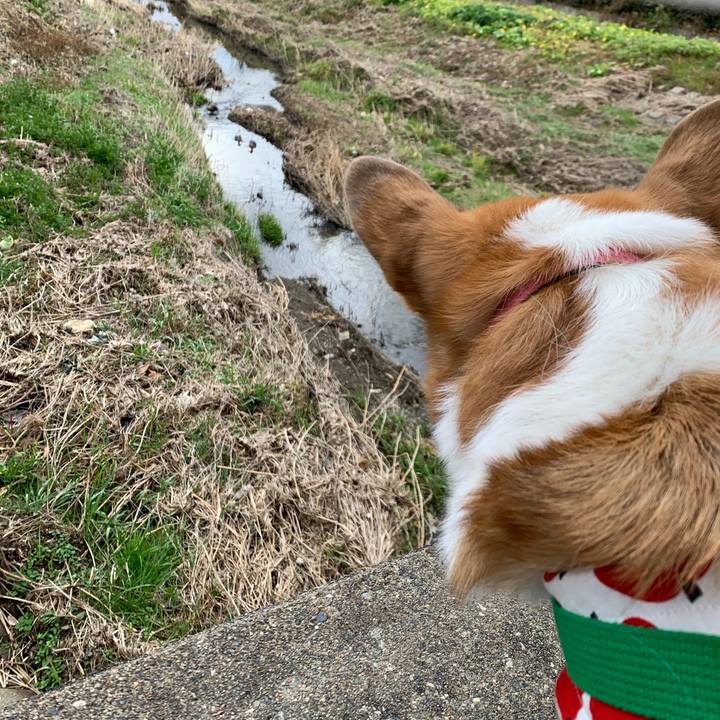 95c9aa92 c59f 43e4 85a7 de7e1330bf35 1576641473999