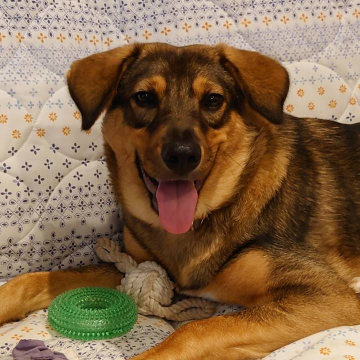 95c9d3c0 0b21 4b86 a8c3 e3869f9fb29d 1688910732414