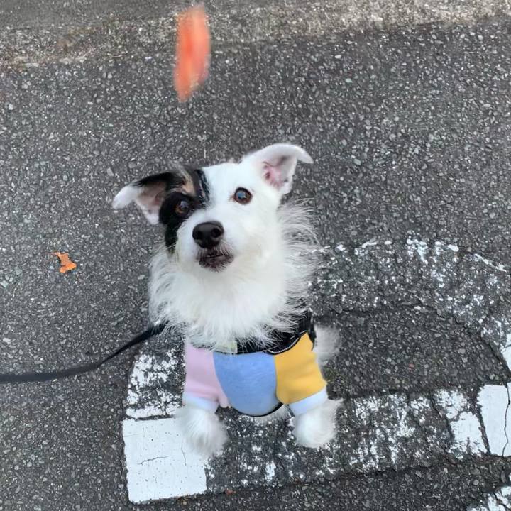 95c9faed d258 4dc7 bd17 10245acc613e 1666771482387