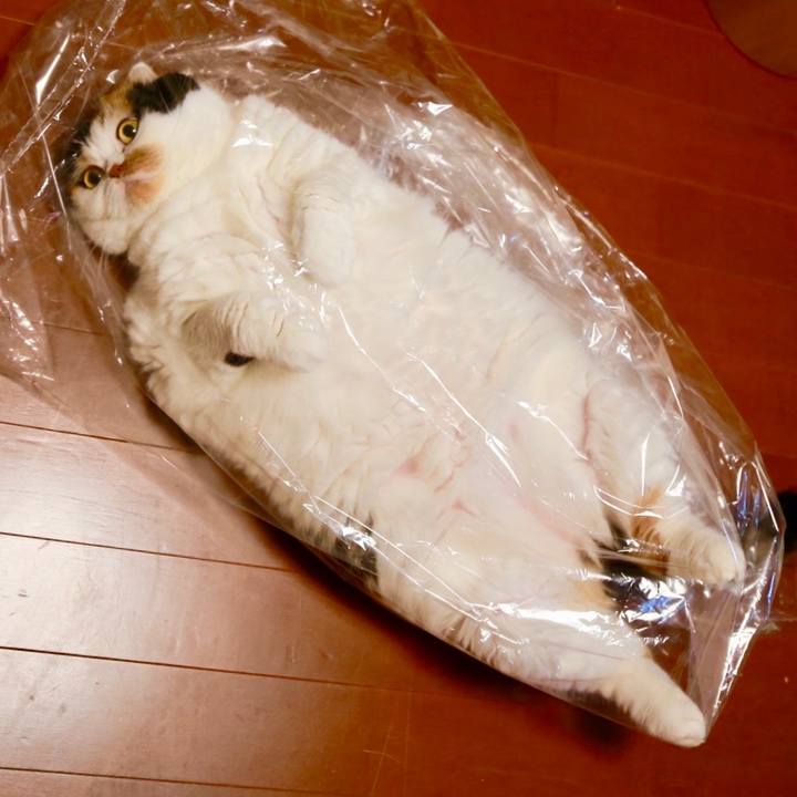 95ca060c 2873 4ab7 b301 1ce1efc5a92f 1568385849630