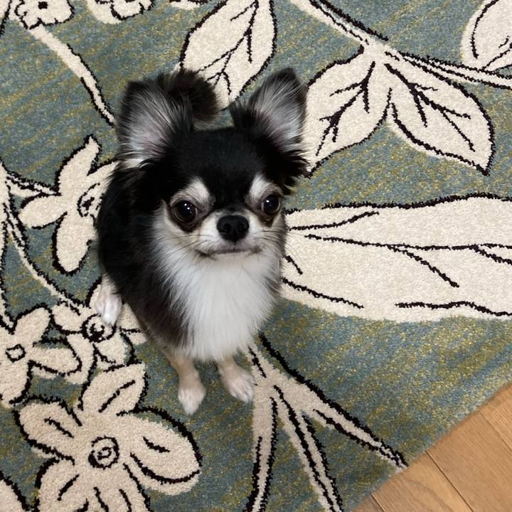 95ca69a7 6d51 48a8 9e28 0135524de313 1628431539241