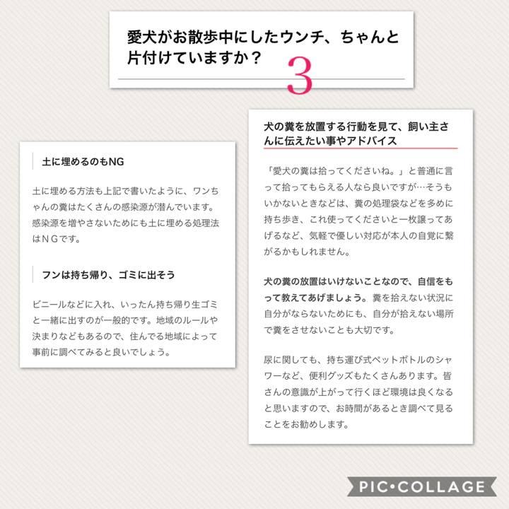 95ca7bd9 b461 476a 8143 cc349422d1c6 1531115177205