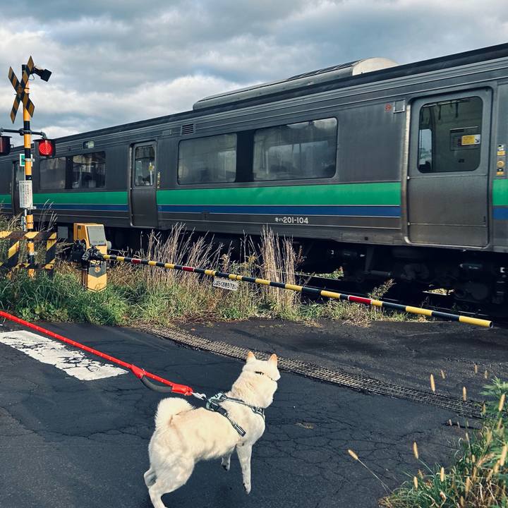 95ca7d0a e1d3 4439 a984 f690b83c6f46 1697932759822