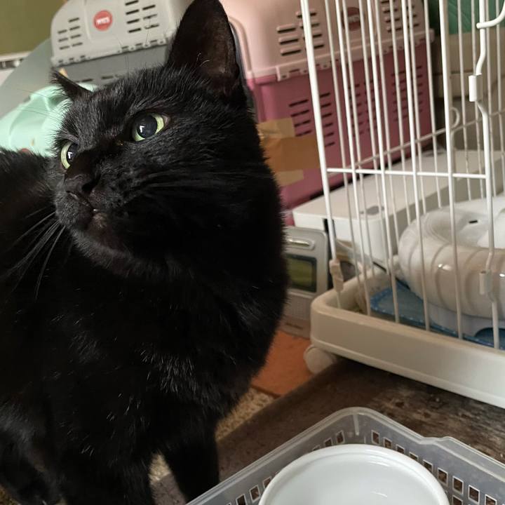 95ca9695 fddb 40a0 a019 fcbcea90c586 1613092518341