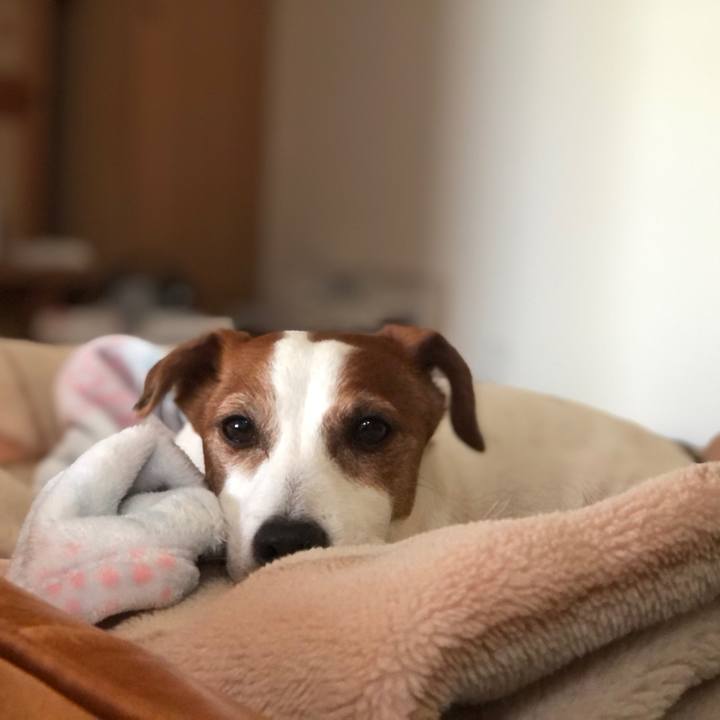 95ca9755 616b 42b3 a8bd e86be7069788 1766478932005