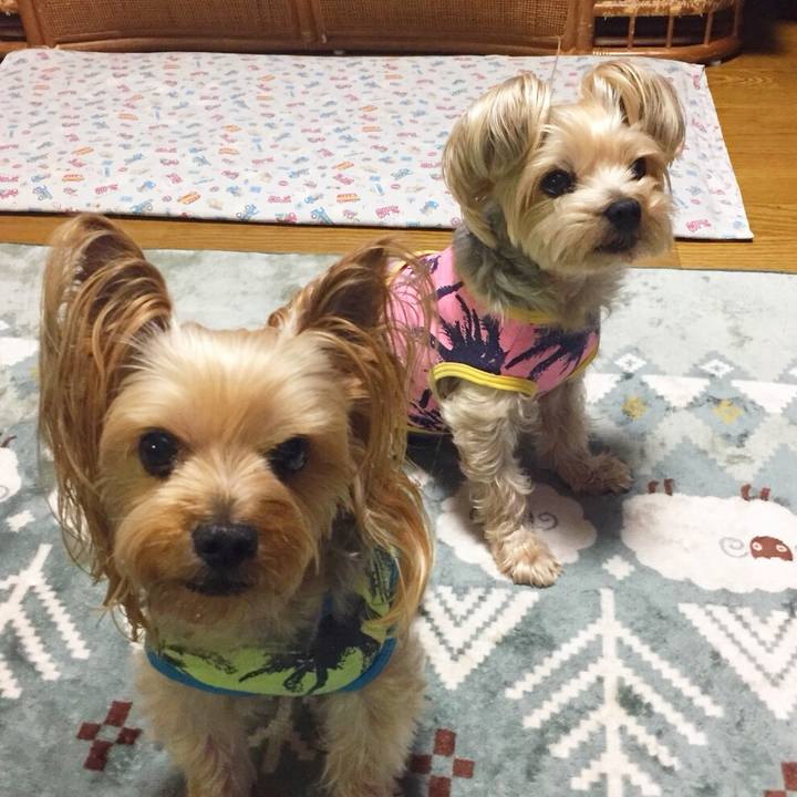 95cac4be 4657 48c9 9bb3 067782c82ad5 1526735793604