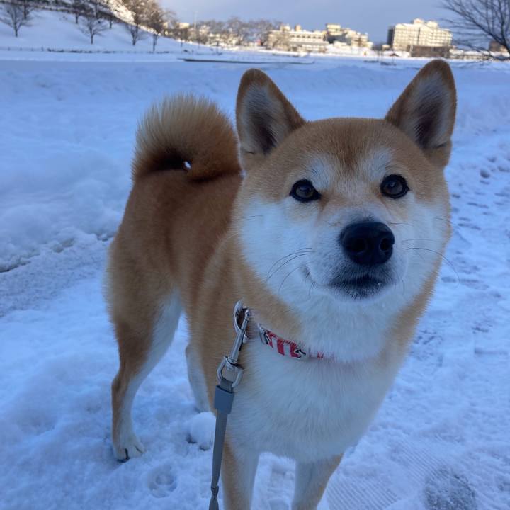 95cadadb 5cae 4644 b44a 9d9b3502983d 1641177965320