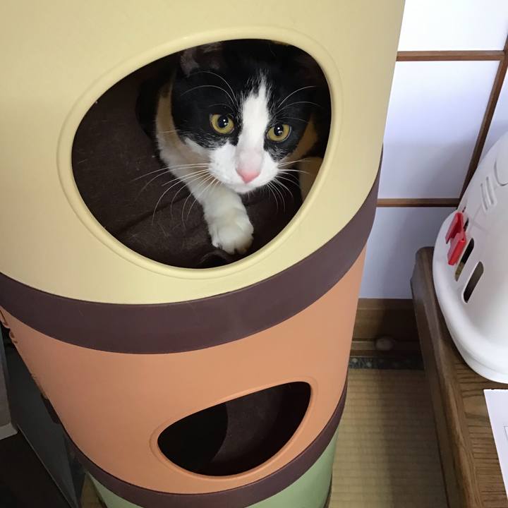 95cadc65 724a 4c50 abc7 93e4f876c543 1644711796513