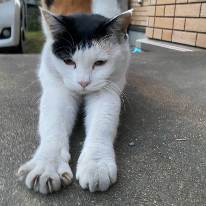 95cb0182 b86d 458e 8c80 1f004611f9cf 1637449740381