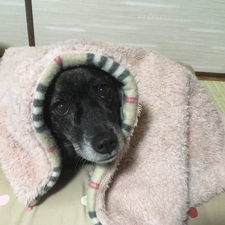 95cb13c2 d0a6 4878 b67c 98ff9426d40f 1541980306229