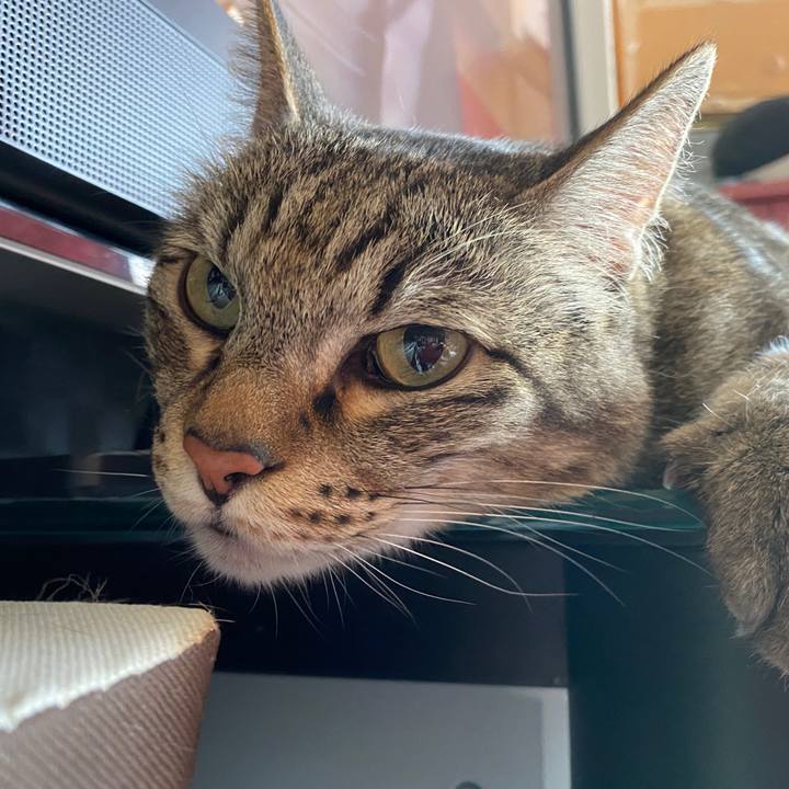 95cb23f1 e5a3 4ecd 8390 33be7474c5d8 1627174052553