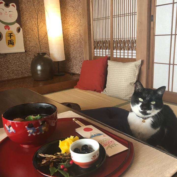 95cb3ffa 2796 4397 9215 16387902b1b3 1546304403806