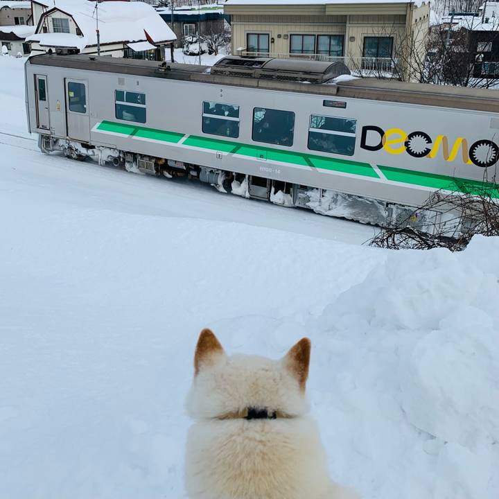 95cbab47 b53b 48ad b68a 96fd09892c2c 1641604500377