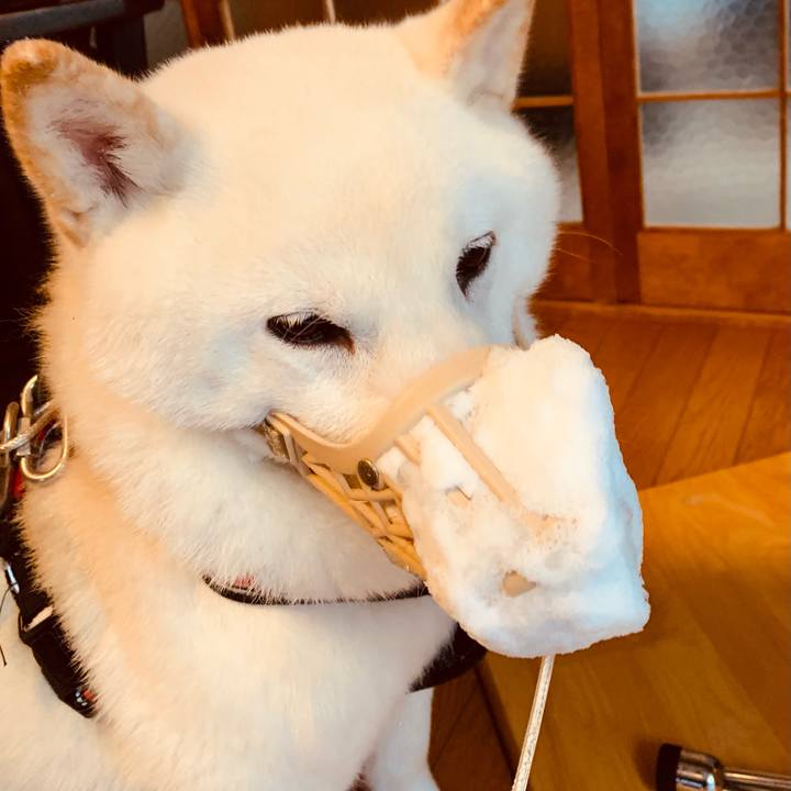 95cbf361 dbd1 441f a734 39a917f28d0b 1612478900337