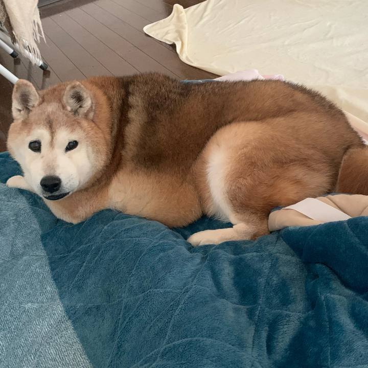 95cc50c1 2844 44eb 9c46 28d61fdee68f 1681341043450