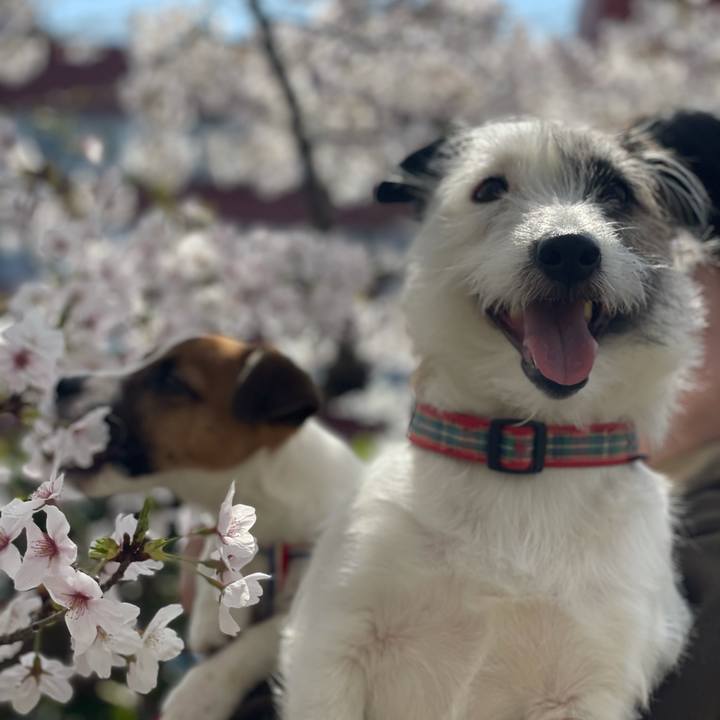 95cc91dc bc22 499b 96be a63f25b09209 1617497828043