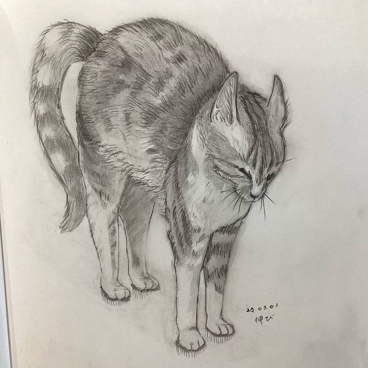 95cc9ce7 5aac 4aa0 a84c 6c0201461d21 1677751921508