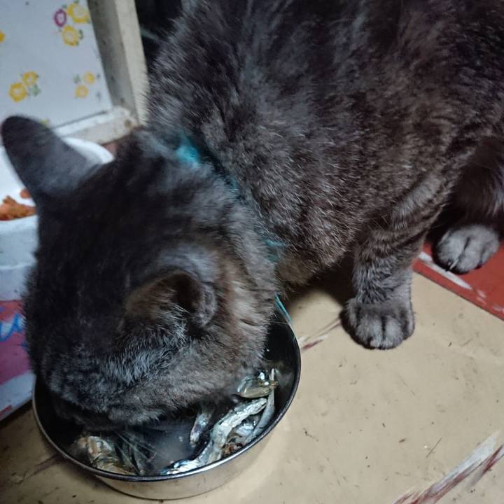 95ccc165 bb1a 46e3 9693 dd070e6abc76 1566850560000