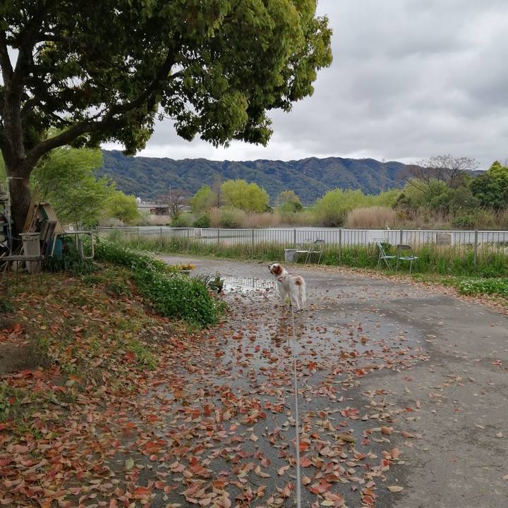 95ccdc61 378e 40b7 88eb f352aea3b02b 1617581312847