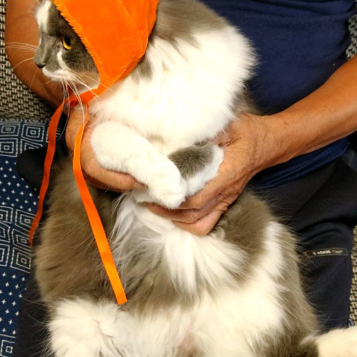 95ccffdb ab86 49af 84b9 46086e32c12e 1600588692863