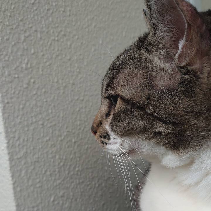 95cd161b 2f99 4c75 9e4f 85f460423fc0 1674877202050