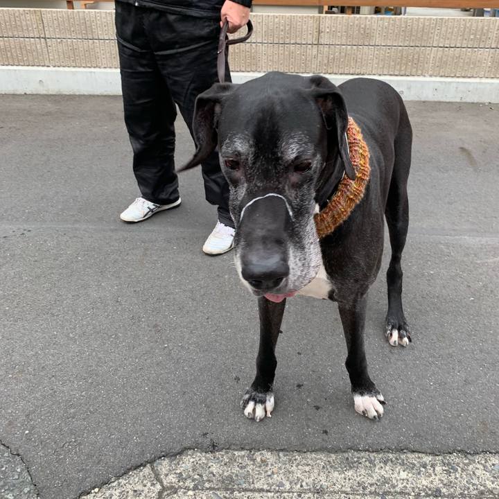 95cd2f2d fddc 421f 9020 e73fb5846128 1550881529053