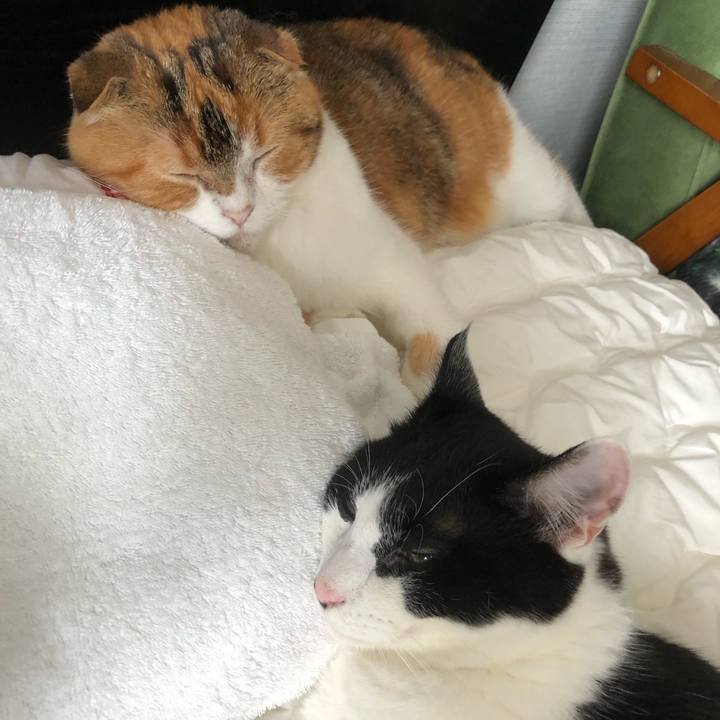 95cd9119 572f 4190 9a75 6f818fc14c94 1626433574777