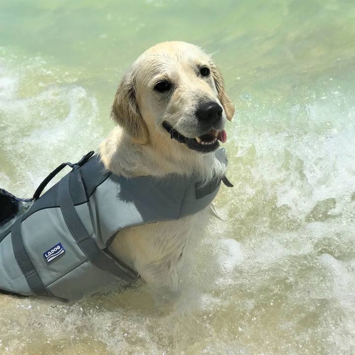 95cdd2b5 a61c 4330 ae22 03553130bfea 1532738431372