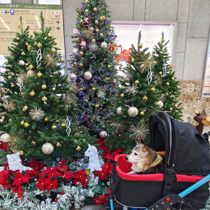 95cdda53 c317 4132 90ac 3adb0ee2a25b 1764591417538