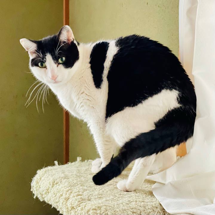 95ce0667 fbcf 4742 be24 0a50ec67e9bb 1618966679397