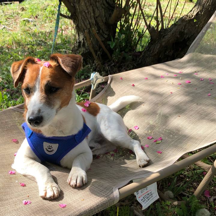 95ce1574 1de9 496e aec9 8784d035b8bf 1604911515734