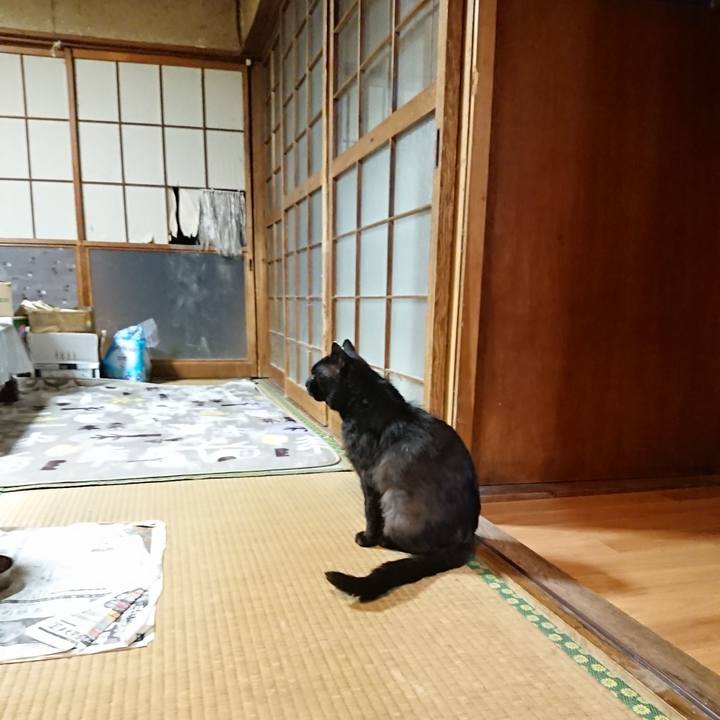 95ce2003 326c 4448 a1e4 befc57ed35c1 1625053154119