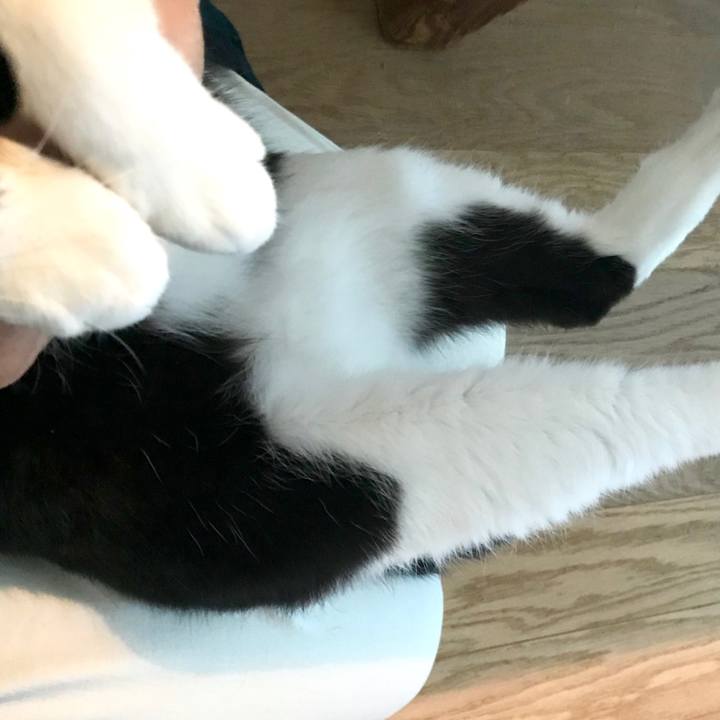 95ce4d03 304a 4d58 92bd 609f0d671f40 1514377401550