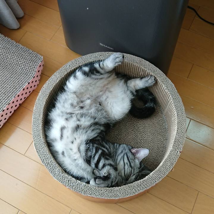 95ce6aa8 b0c9 4db8 9109 59626fb792da 1543384136249