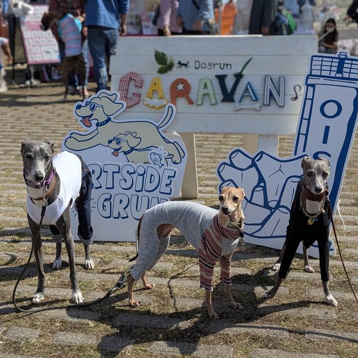 95ce725c 85a2 42ea a82e dde0e79a7378 1772369271875