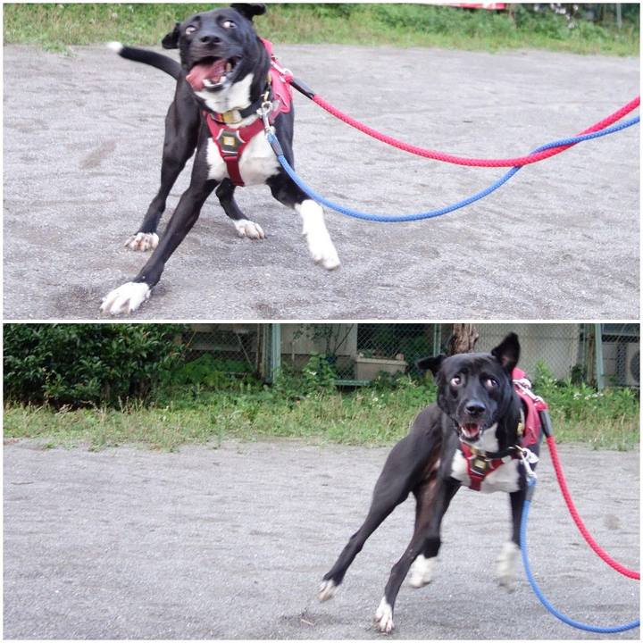 95ce78d0 66ad 4147 a1e7 e99faf6b3c69 1593944902127