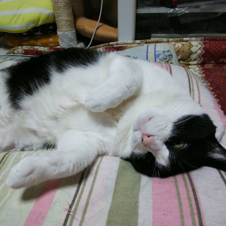 95ceaeeb 4f69 417c bd45 fbc1248f12c7 1525523066329