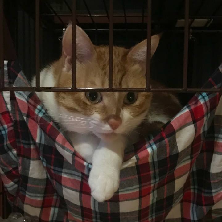 95cecec4 f5cd 46a4 a30f 7c8b5554270a 1548993383820