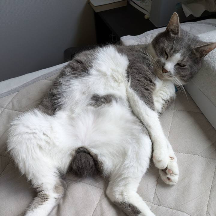 95cf138b e352 447e a915 6374859eebc3 1752892027237