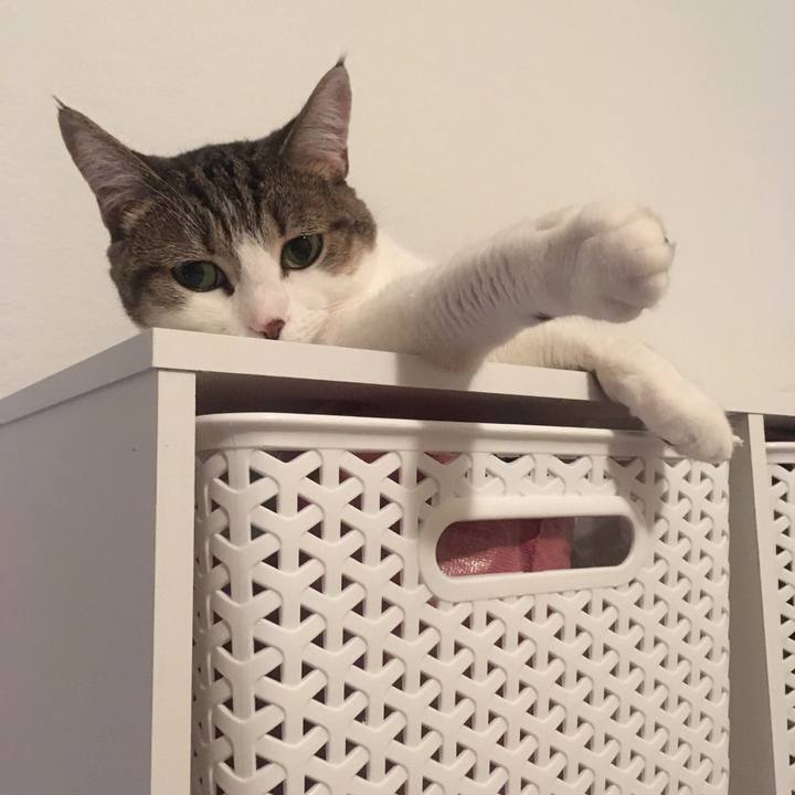 95cf19c3 0a85 4003 b0cc f3566b4ea15d 1663978055581