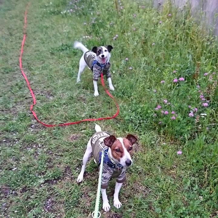 95cf1f89 3460 4dc6 801a 5264bac0ec2b 1590229306020