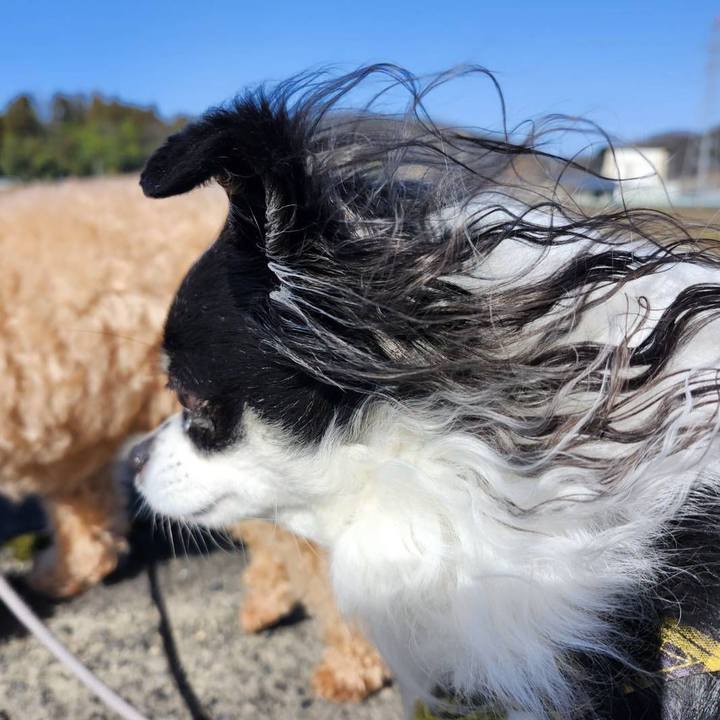 95cf2167 4b34 4ba6 9cae 3130d8425f1a 1773703731801