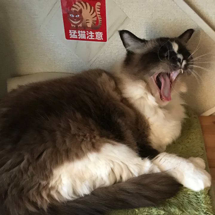 95cf32e6 a130 4cf7 925d 3bb4ca0d22db 1514515652868