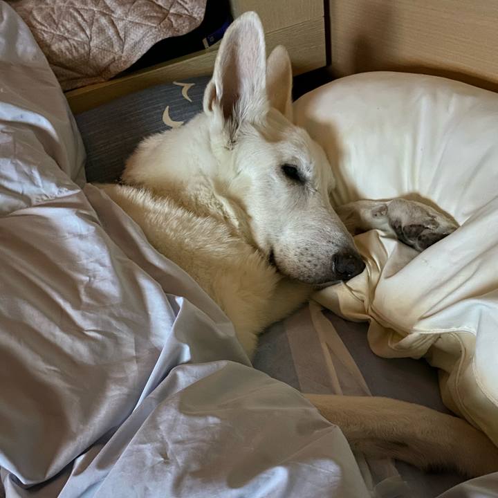 95cf388d 9ec4 4aac 91ee 5d04be69b470 1606570675203