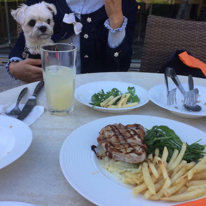 95cf4a31 e502 46fe 90cf fa4cfcbe9fb3 1509717403044