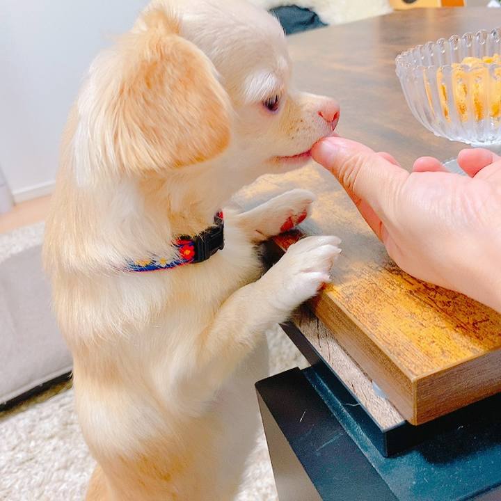 95cf6989 3e66 4a7e 9e18 73bb2fc522e8 1631159429269