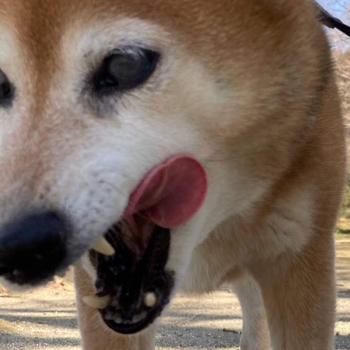 95cf8692 638b 4611 97e6 b6f64abc0297 1677559102977