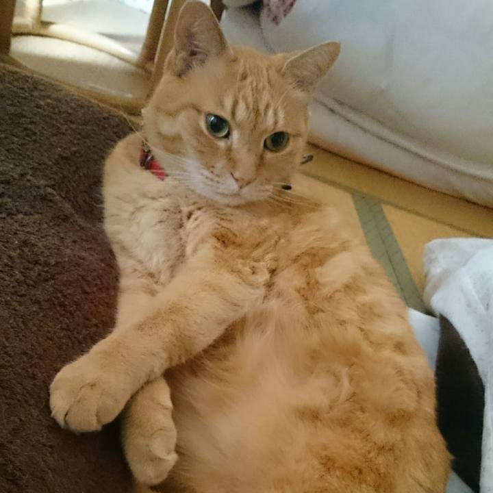 95cfacf0 584b 4736 979b 002825a33350 1524788849024