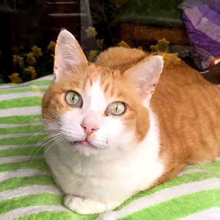 95cfad1b 5fac 42d3 9b5c 8f56b9ea8bb3 1617610606192