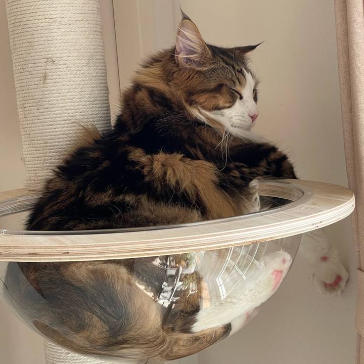 95cfb4d8 1e44 4691 b078 62b9277d4889 1653092355946